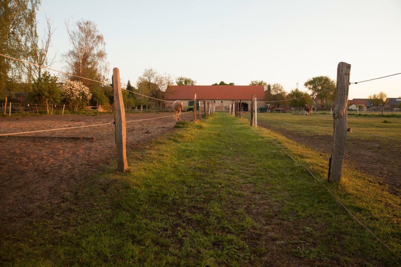 Lehnschulzenhof Viesen Villa Rogasen Buitenkant foto